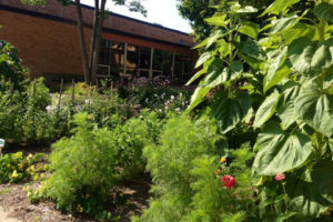 BHSgarden